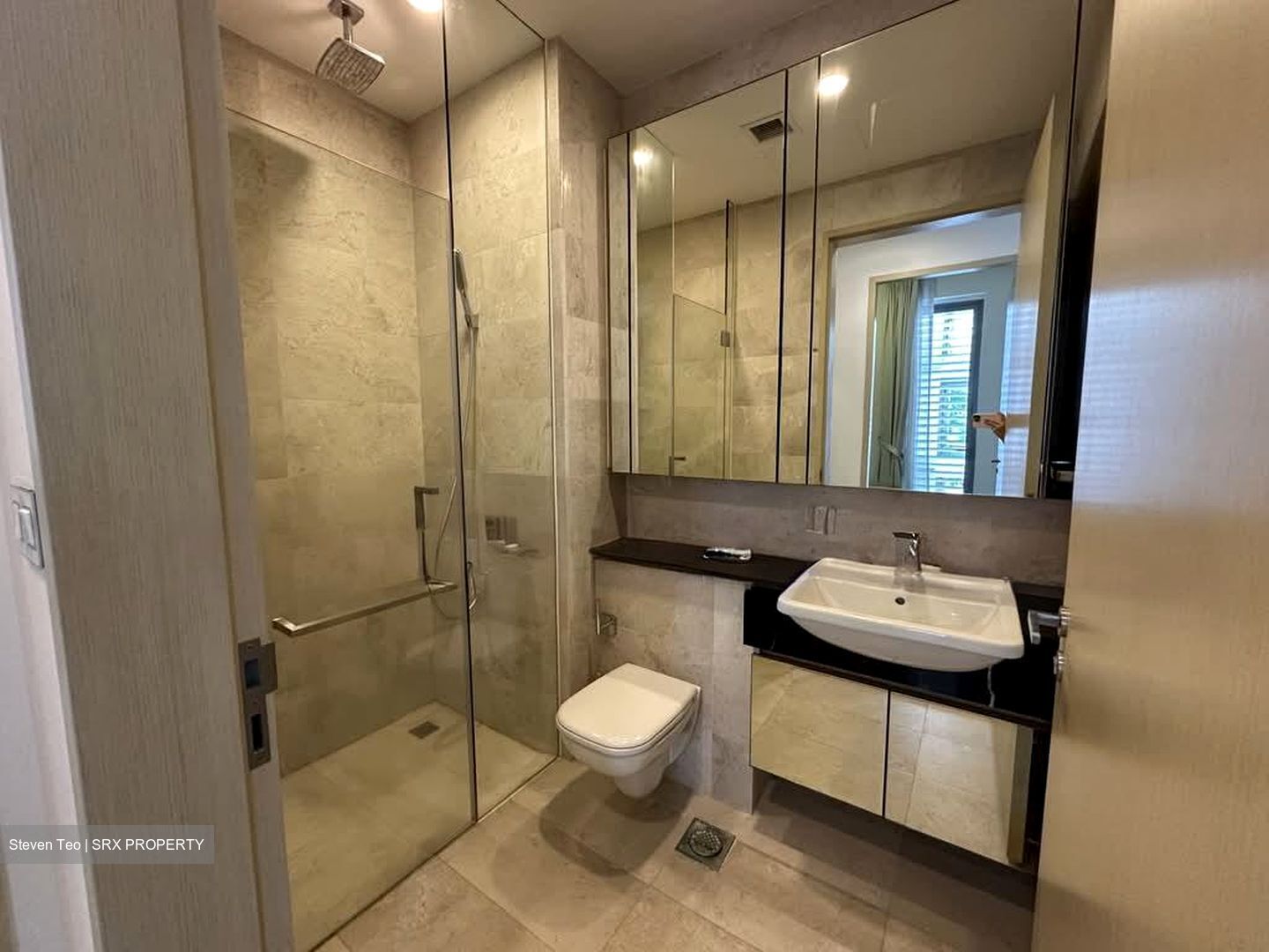 The Boutiq (D9), Apartment #564184991